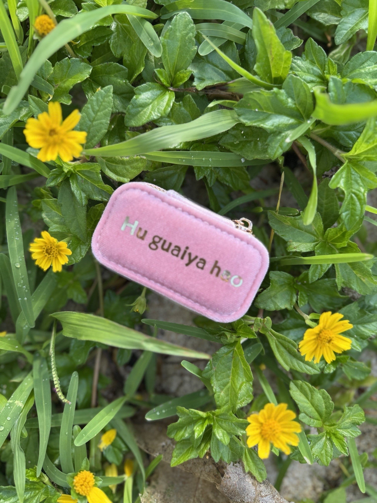 Hu Guaiya Hao Mini Jewelry Box